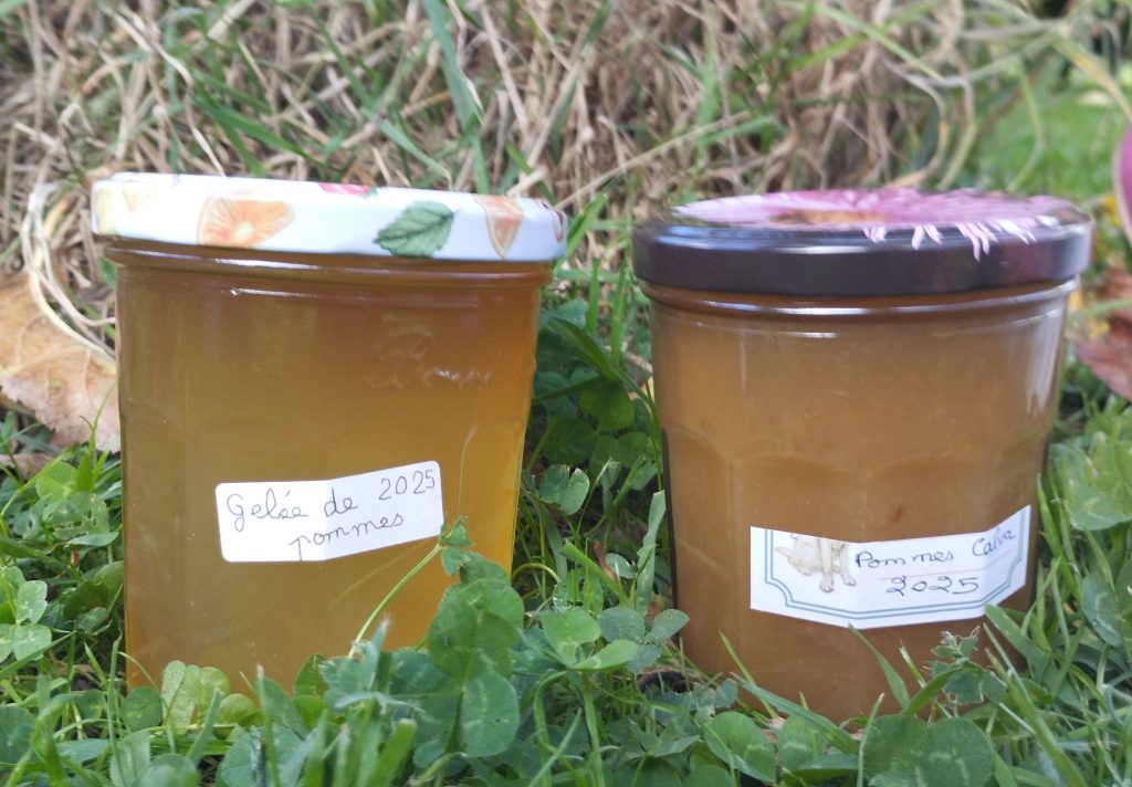 gelée et confiture de pommes au Calvados
