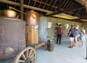 Visite de la cidrerie et distillation